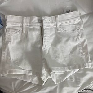 NWT Hollister high rise jean shorts